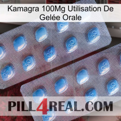 Kamagra 100Mg Utilisation De Gelée Orale viagra4